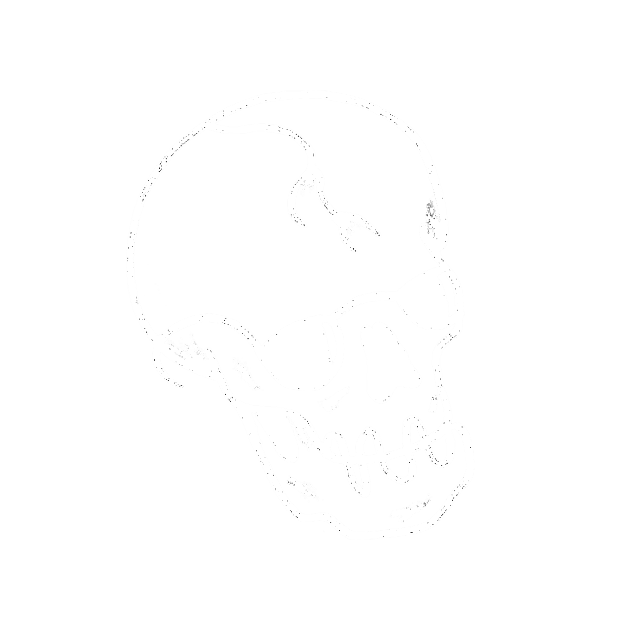 dean kemball skull with sunglasses avatar